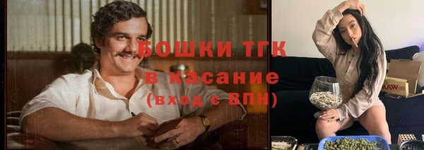 стаф Белокуриха